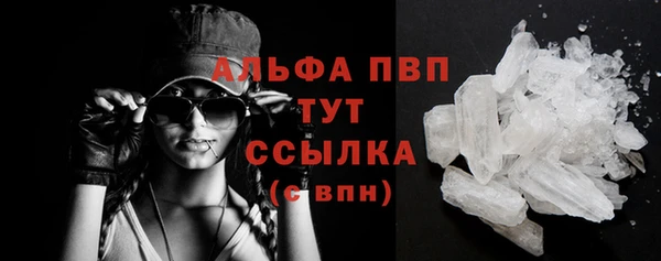 сатива Вяземский
