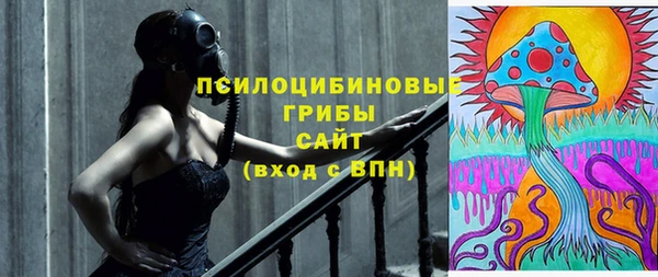 сатива Вяземский