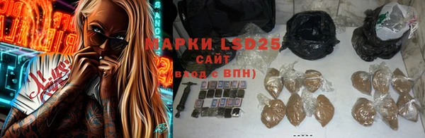 сатива Вяземский