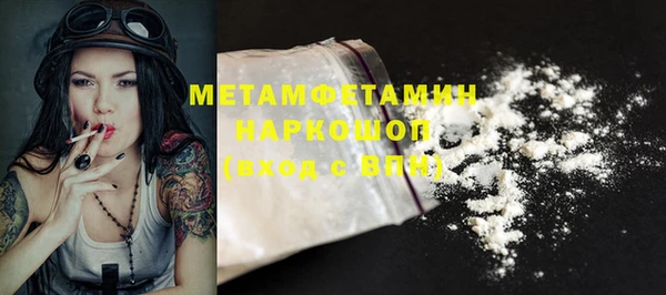 сатива Вяземский