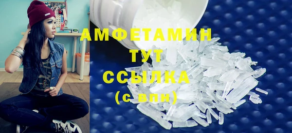 сатива Вяземский