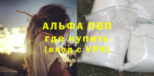 сатива Вяземский
